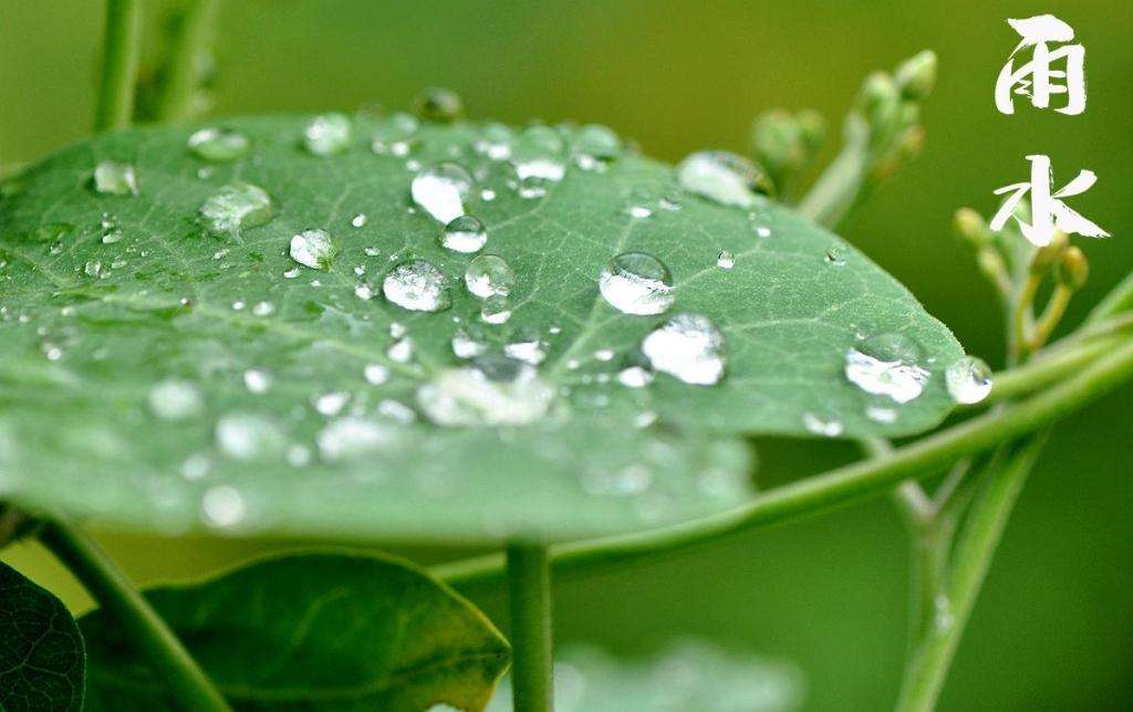 雨水！